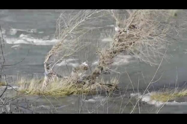 Hallan el cadáver de la abuela de la niña muerta en Logroño