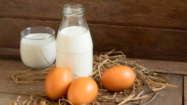 Alergia al huevo y a la leche