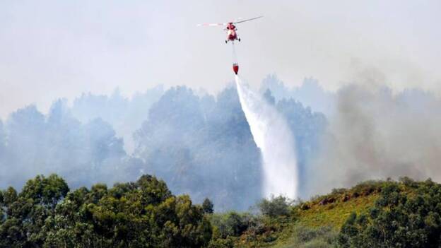 Siete meses sin una tregua