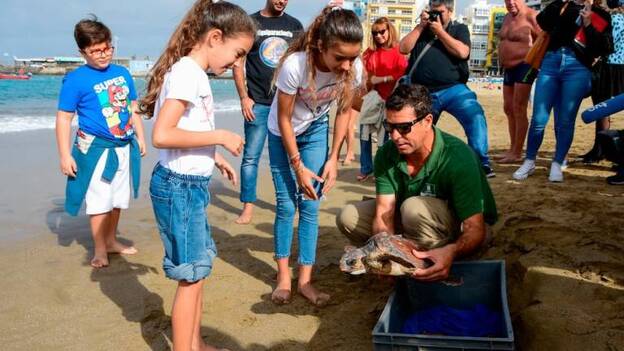 Las tortugas rescatadas por el corredor del Confital vuelven al mar
