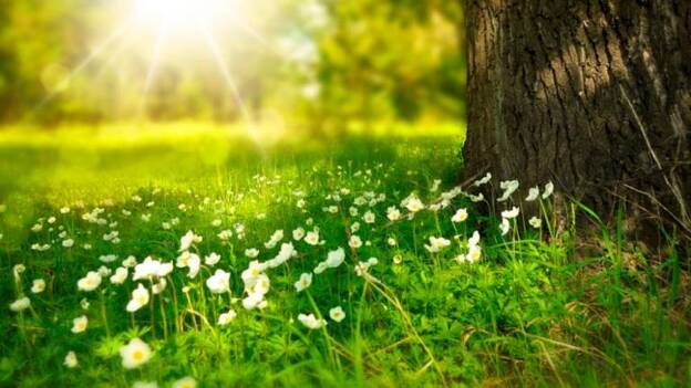 Las razones por las que este invierno ha sido especialmente caluroso