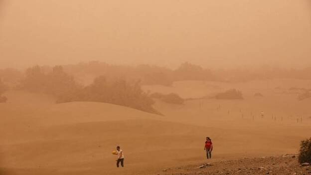 El pasado febrero, el más cálido y seco en España de los últimos 55 años