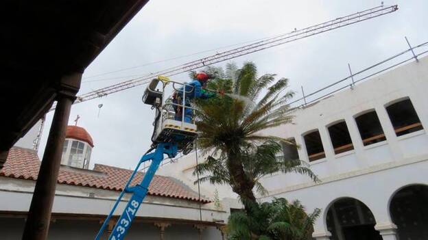 La cica centenaria del San Martín, en cuidados especiales