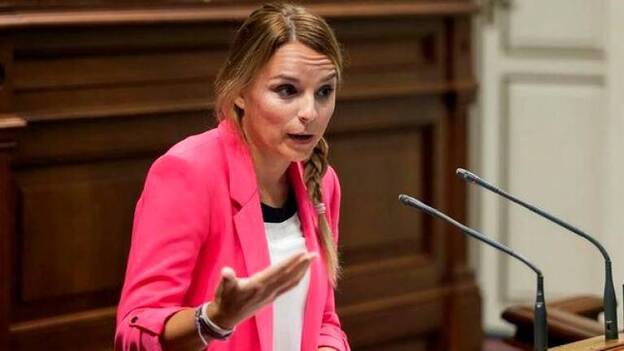 Santana defiende la red de salud mental de menores