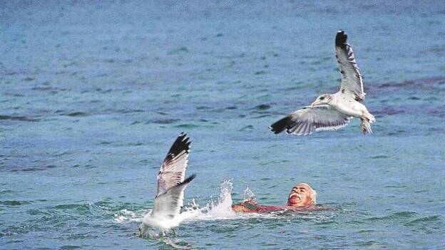 Imágenes y poemas ensalitrados