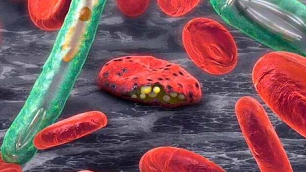 Los fármacos contra la malaria, contra el COVID-19