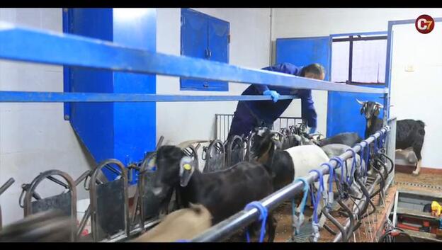 Triple precaución en la quesería