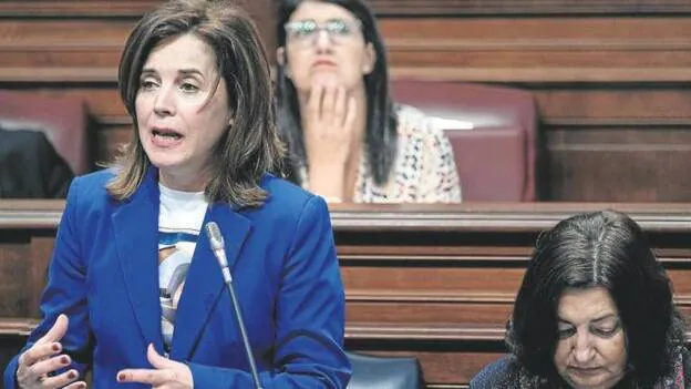 La oposición antepone el apoyo a Torres a exigirle el relevo en Sanidad