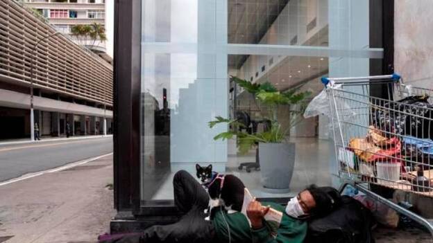 Bélgica detecta un «caso aislado» de un paciente que contagió a su gato