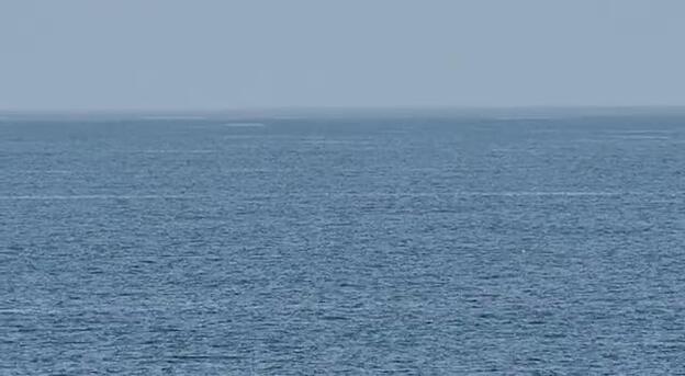 Rorcuales tropicales en la costa de Arucas