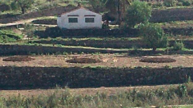 «Se nos llenan las casas de moscas»