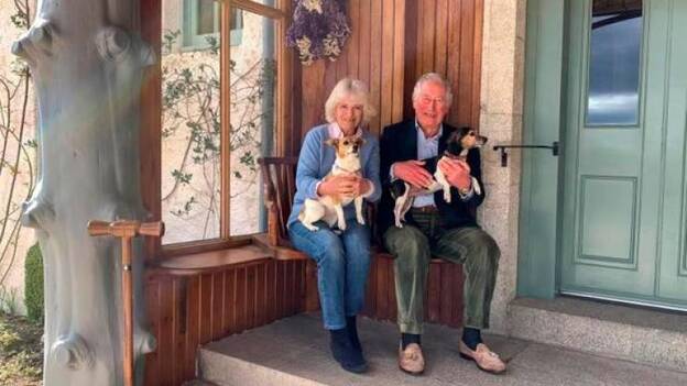 Carlos y Camila celebran su aniversario de boda con una fotografía junto a sus perros