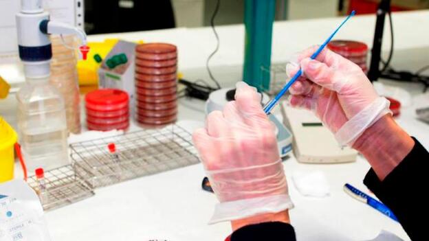 Sanidad ha realizado 930.230 pruebas PCR hasta el 13 de abril