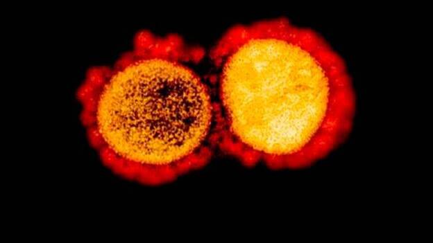 SARS-CoV-2: La geometría del enemigo