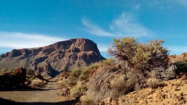 La ausencia de visitantes permite acometer una limpieza 'a fondo' del Parque Nacional del Teide