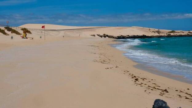 El jable vuelve a las dunas de Corralejo