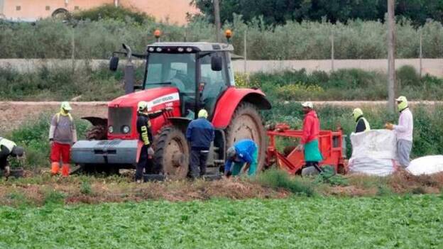 En la irrenunciable tarea de alimentar al Planeta