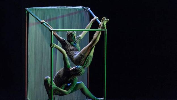 «Sigo aferrada a que Masdanza se va a celebrar»