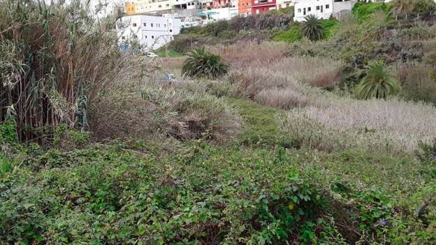 Un cortafuegos en 536 hectáreas agrícolas abandonadas