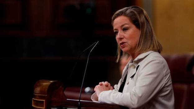 CC apoyará a Sánchez si se prolongan los ERTE