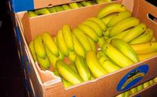 Rechazan una donación de plátanos para niños vulnerables