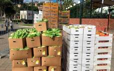 El Cabildo da 24.000 kilos de alimentos a cinco ONG