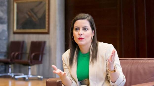 «Canarias y su sector turístico necesitan un plan de choque específico»