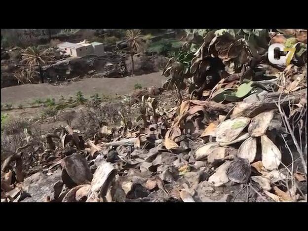 El confinamiento aísla aún más a Tasarte