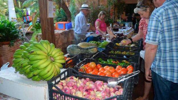 El mercadillo del Oasis Widlife reabre el día 22 en La Lajita y pasa a celebrarse el viernes