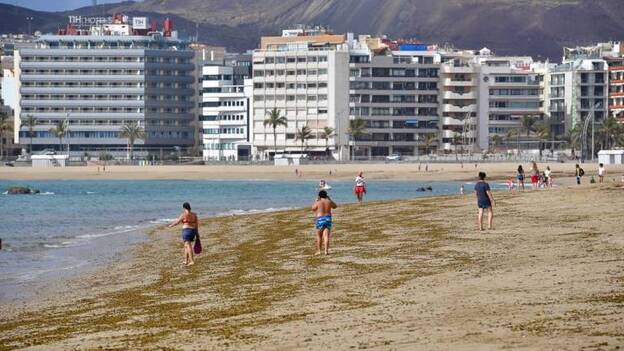 Hamacas desinfectadas, tras cada uso