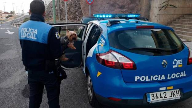 Sacan a un perro de un foso en la capital