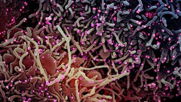 El lado oscuro de la promiscuidad