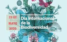 Canarias celebra el día de la biodiversidad
