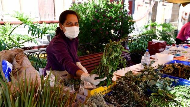 El mercadillo agroartesanal del Oasis Wildlife vuelve al domingo