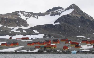 Extraños lugares donde nacer: de la Antártida a la copa de un árbol