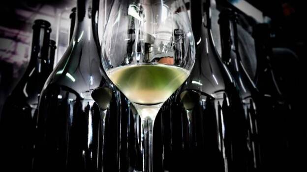 Etiqueta para espumoso, el próximo curso