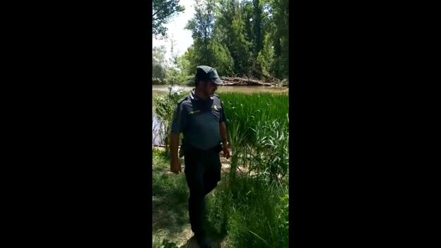 Un cocodrilo de metro y medio alarma a Valladolid