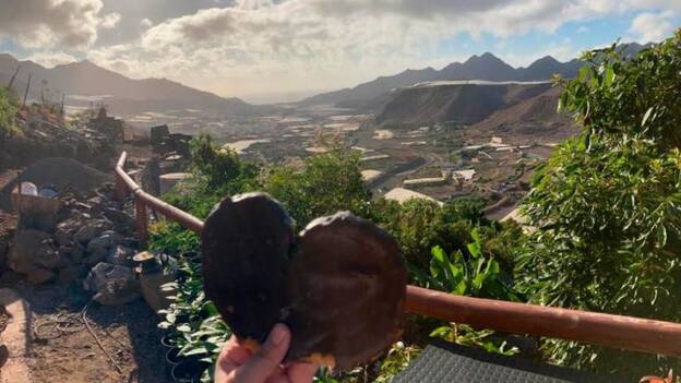 Una palmera de hojaldre que viaja por toda la isla Gran Canaria, un éxito empresarial