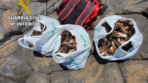 10 detenidos por capturar más de 200 kilos de mejillones