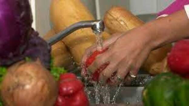 ¿Cómo prevenir intoxicarse en verano?