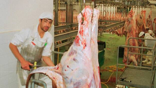 Nueva maquinaria para bovinos