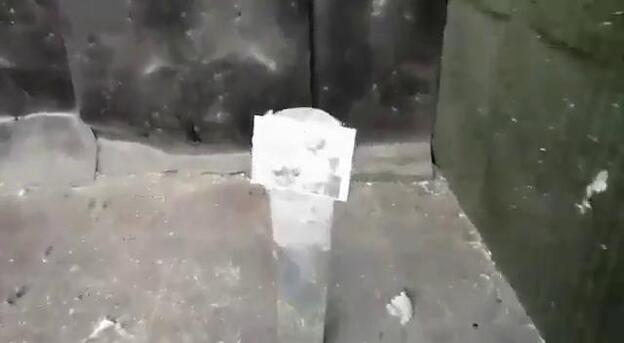 Detenido por los disparos a las fotos del Gobierno