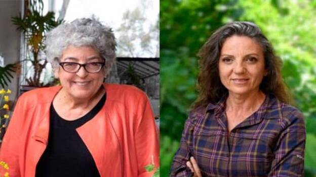 El premio Princesa de Asturias de Investigación se falla mañana