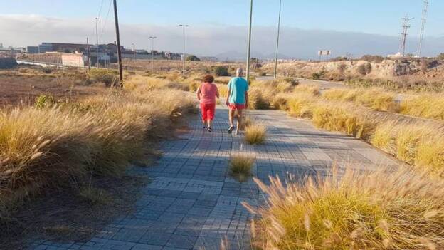 Almatriche regresa al olvido municipal