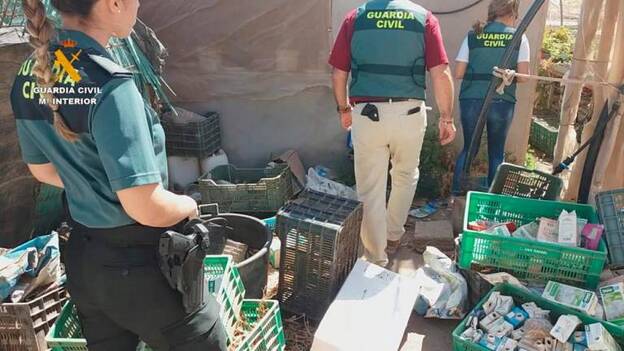 Un arrestado por la doble agresión sexual a una mujer y a su pareja en Gran Canaria