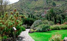 El Cabildo reformará el Jardín Canario