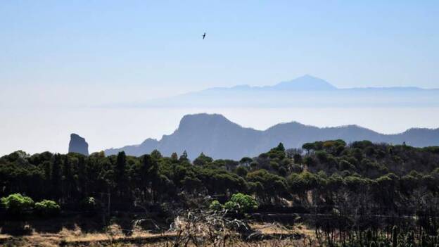 Sube a naranja el aviso en Gran Canaria este lunes