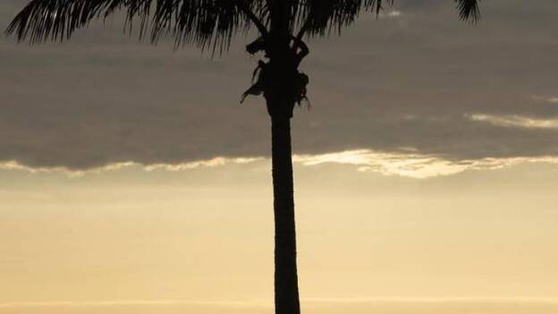 En la playa de la luz y la vida