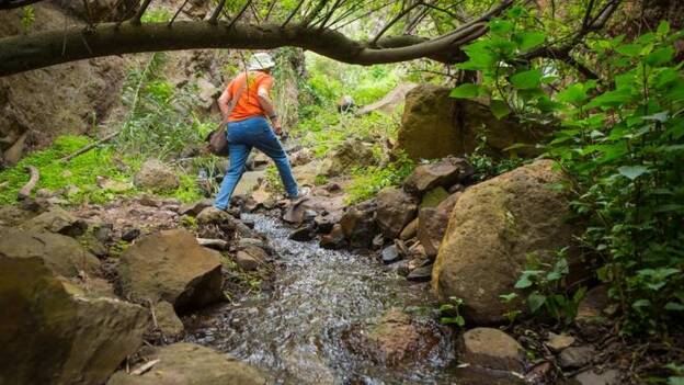 Barranco de los Cernícalos