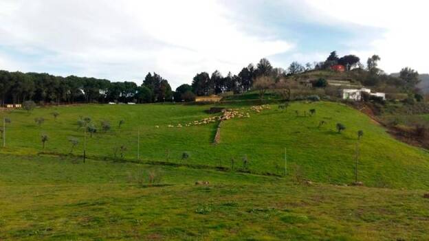 Altos de Guía, ruta de ensueño